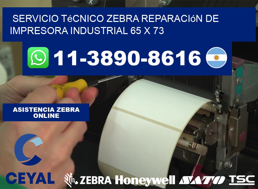 Servicio Técnico Zebra Reparación de Impresora Industrial 65 x 73