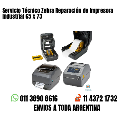 Servicio Técnico Zebra Reparación de Impresora Industrial 65 x 73