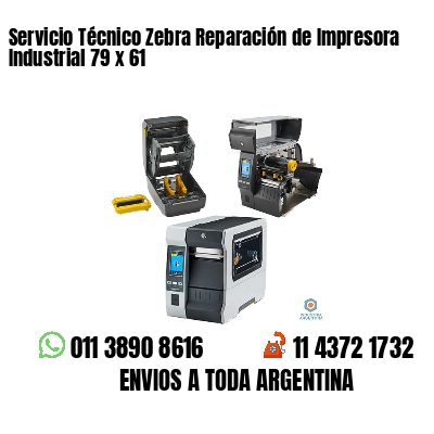 Servicio Técnico Zebra Reparación de Impresora Industrial 79 x 61
