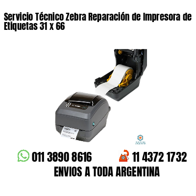Servicio Técnico Zebra Reparación de Impresora de Etiquetas 31 x 66