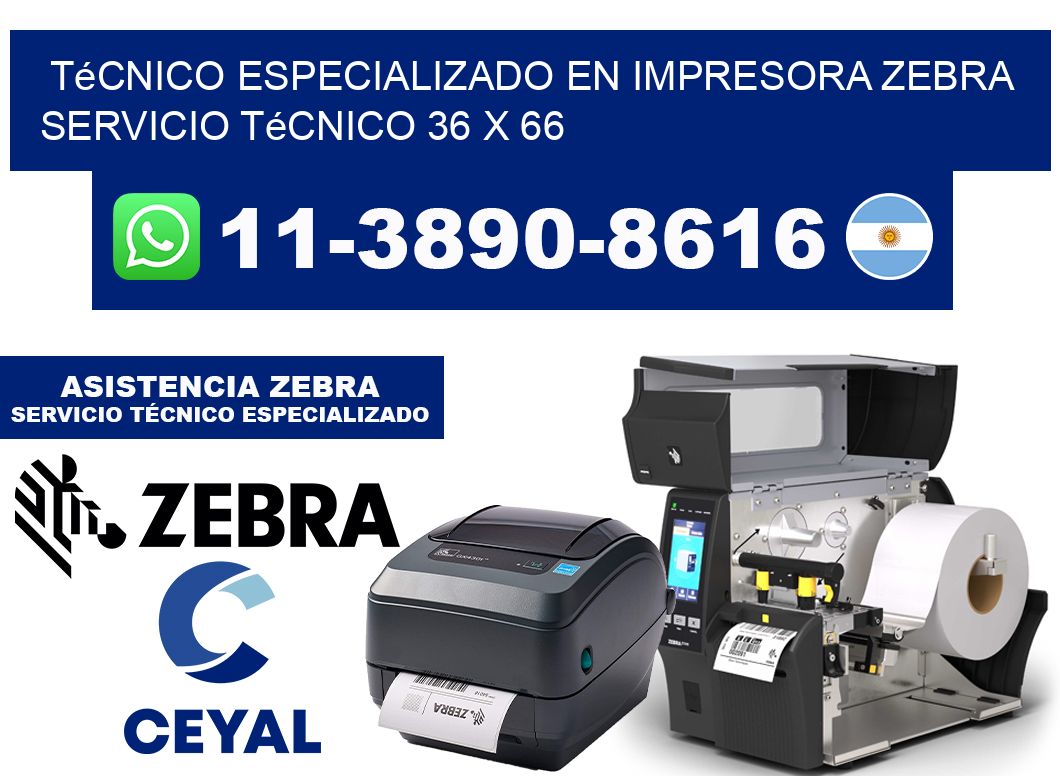 Técnico Especializado en Impresora Zebra Servicio Técnico 36 x 66