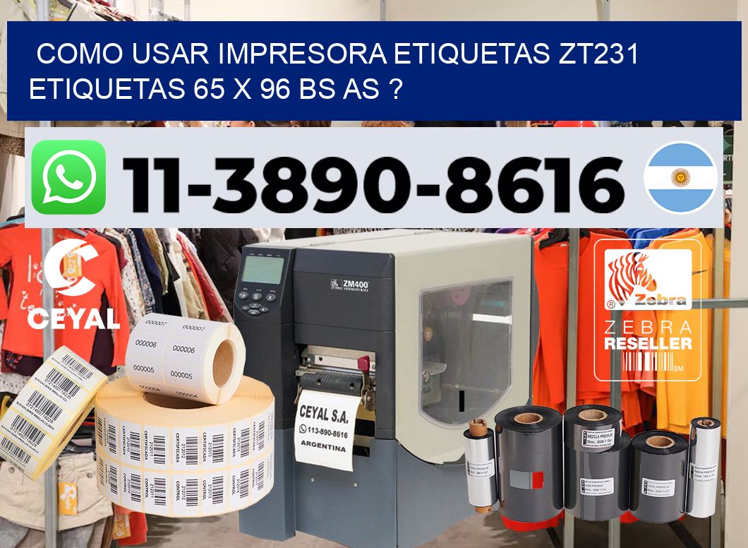 como usar impresora etiquetas zt231 etiquetas 65 x 96 BS AS ?