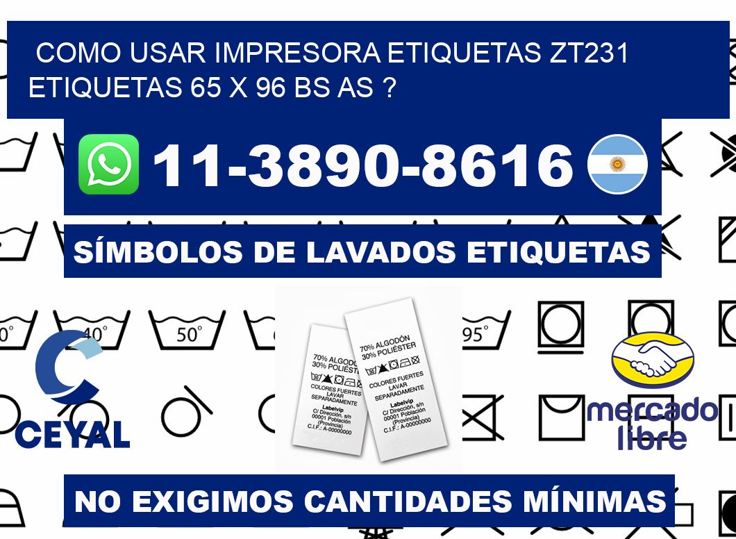 como usar impresora etiquetas zt231 etiquetas 65 x 96 BS AS ?