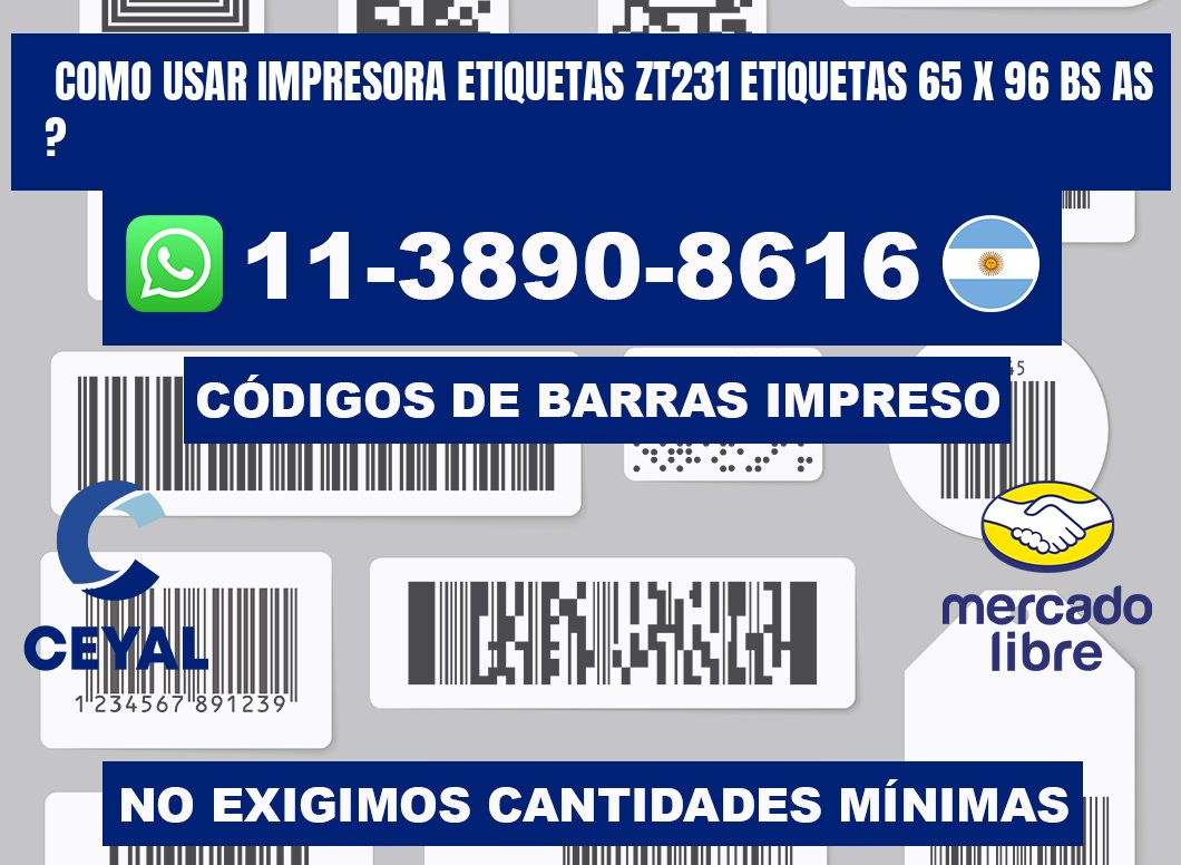 como usar impresora etiquetas zt231 etiquetas 65 x 96 BS AS ?