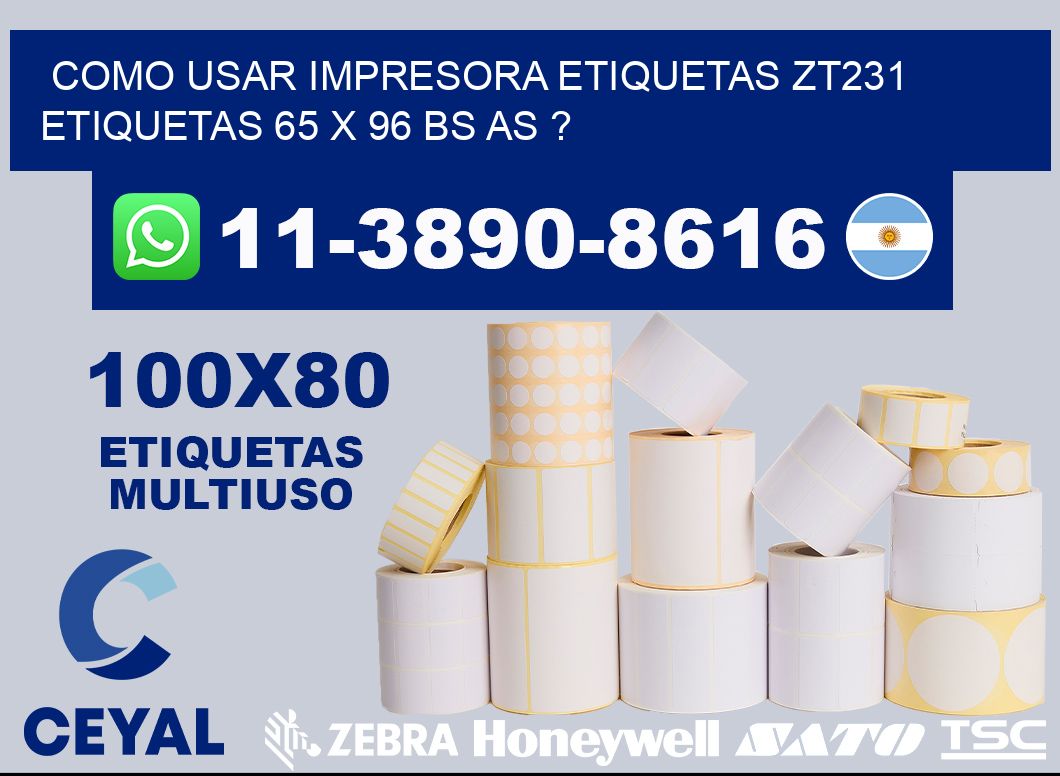 como usar impresora etiquetas zt231 etiquetas 65 x 96 BS AS ?