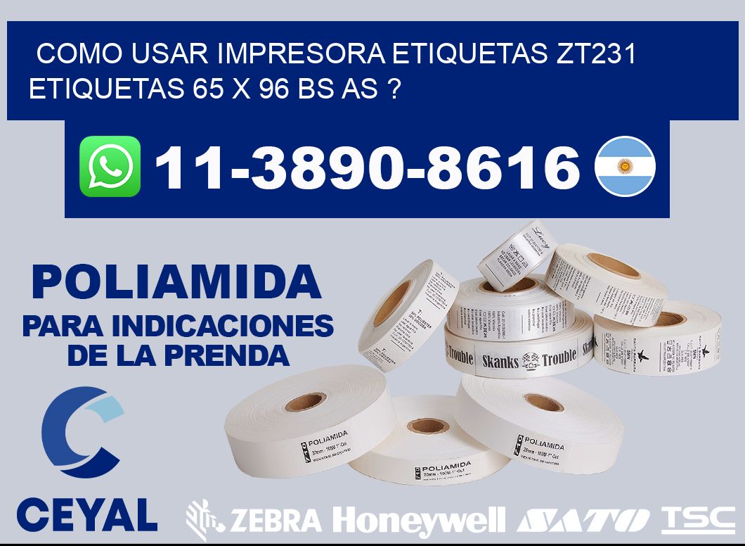 como usar impresora etiquetas zt231 etiquetas 65 x 96 BS AS ?