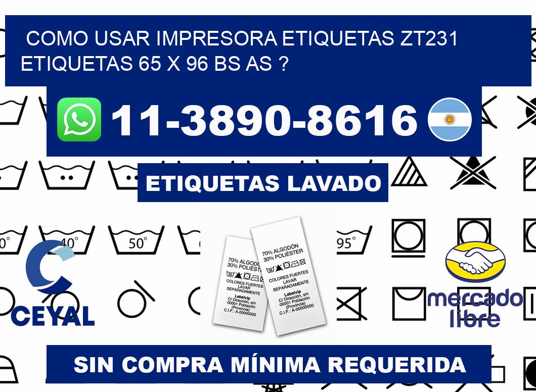 como usar impresora etiquetas zt231 etiquetas 65 x 96 BS AS ?
