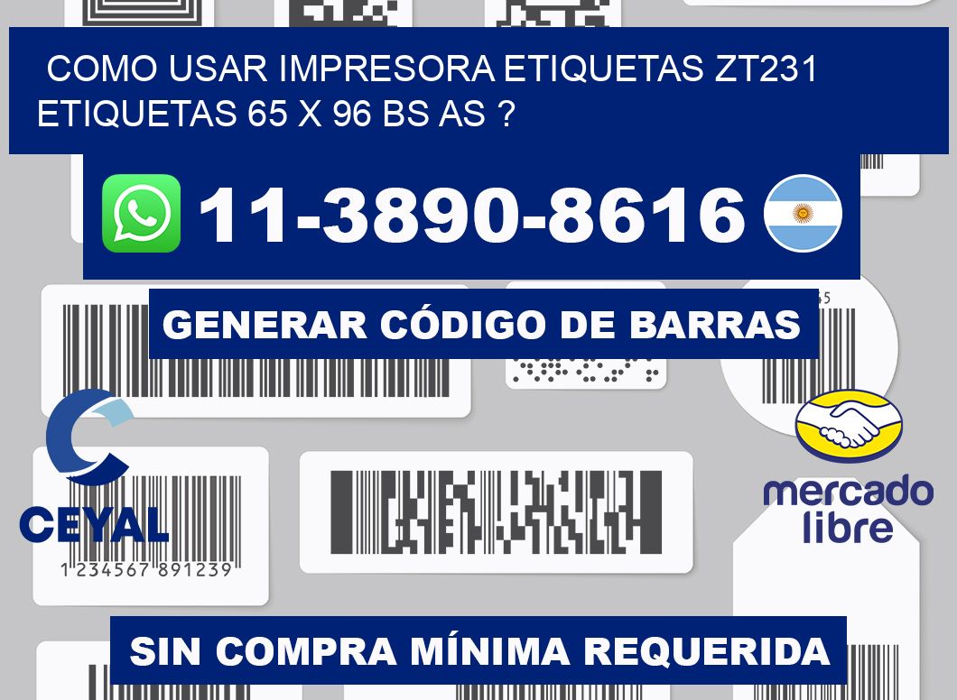 como usar impresora etiquetas zt231 etiquetas 65 x 96 BS AS ?