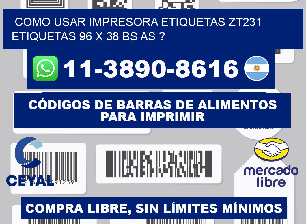 como usar impresora etiquetas zt231 etiquetas 96 x 38 BS AS ?