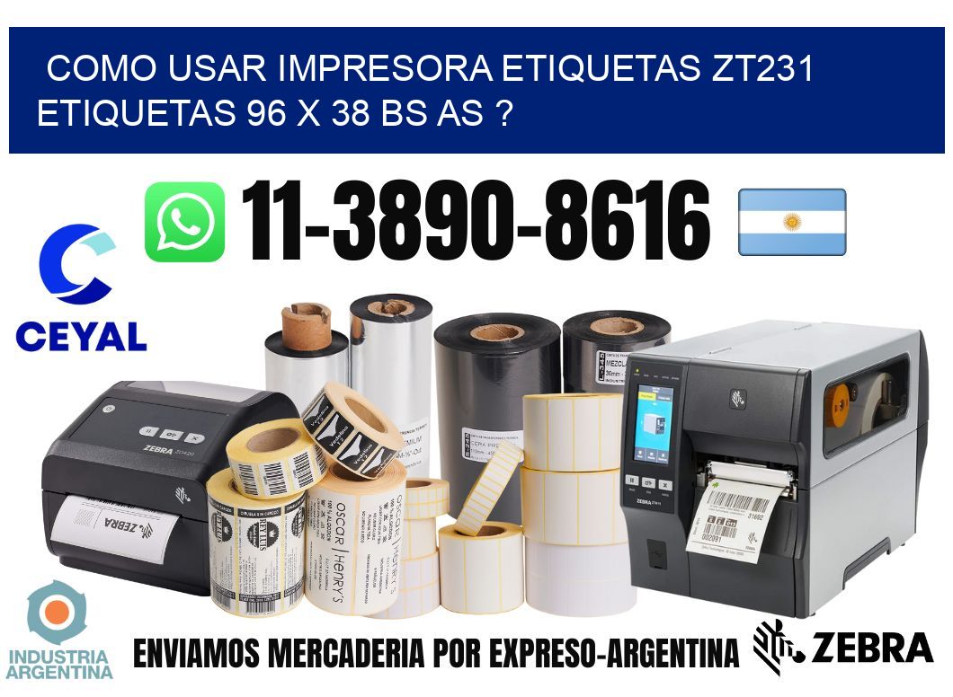 como usar impresora etiquetas zt231 etiquetas 96 x 38 BS AS ?